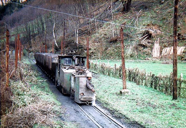 Cerezal.jpg (139.46 KiB) Visto 14017 veces Cerezal.jpg